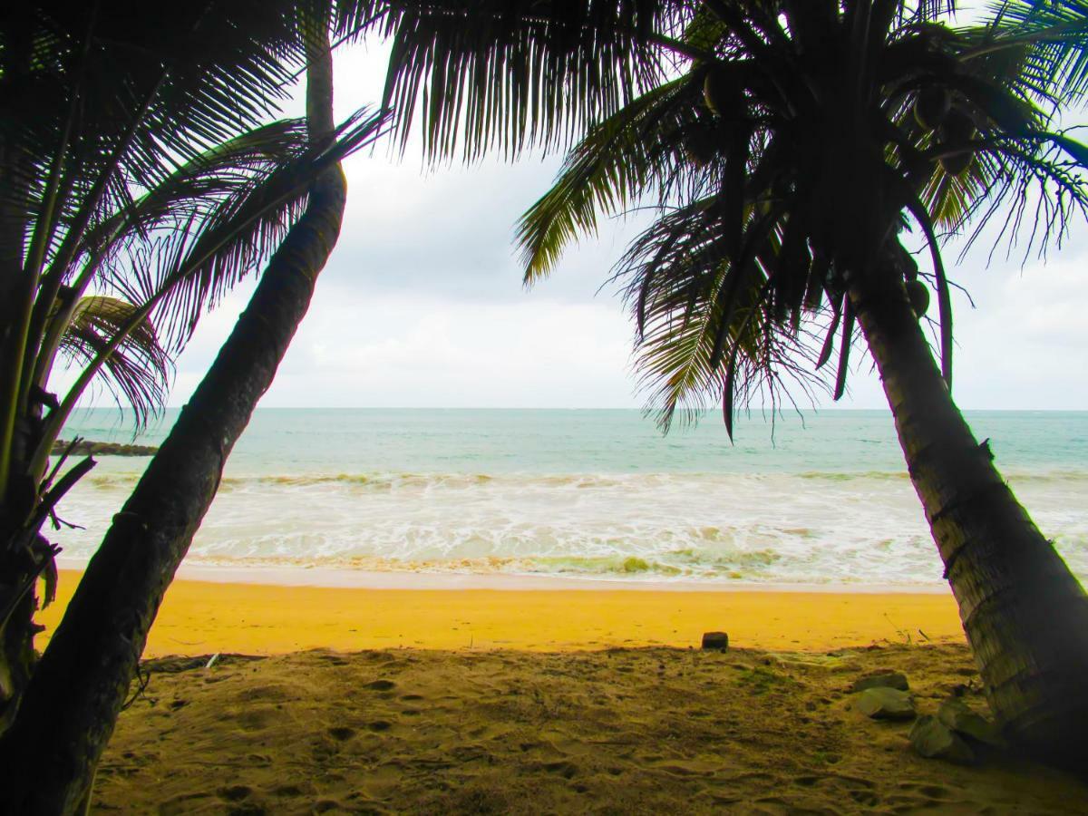 Shanika Beach Inn Тангалла Экстерьер фото